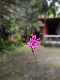 img_20161217_121631_hdr