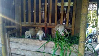 img_20161229_062145_hdr